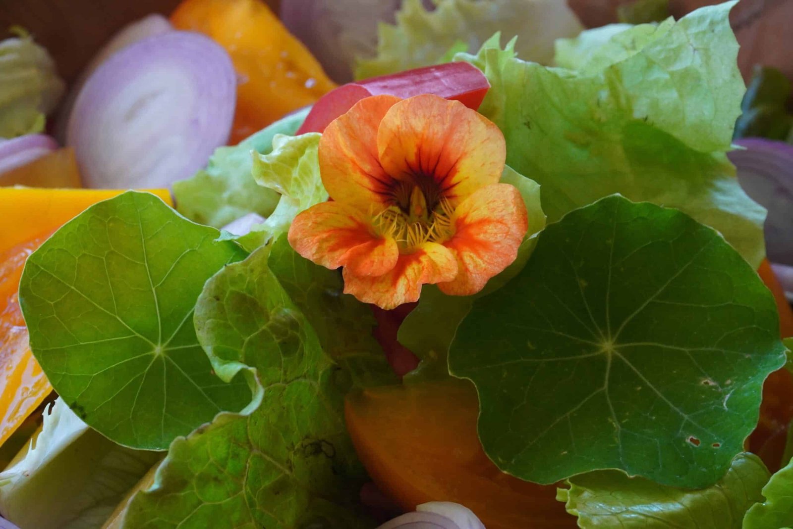 a salad with nasiumium flowers and onions